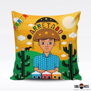 Almofada colorida com tema nordestino.
